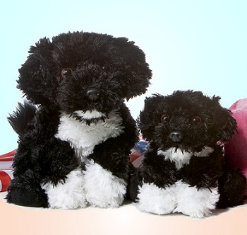 Aurora Stuffed Plush Portuguese Water Dogs