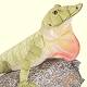 Fiesta Stuffed Green Anole
