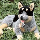 cattle dog stuffed animal