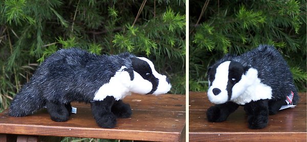 real stuffed badger