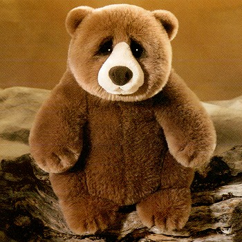 Stuffed Jasper  Bear
from Lou Rankin