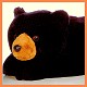 Aurora Shiloh Bear