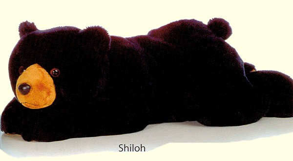 Aurora Shiloh Bear