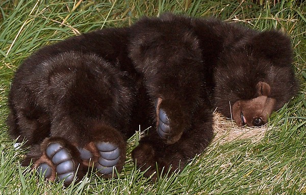 Hansa Stuffed Plush Sleeping Bear