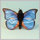 Stuffed Blue Morpho Butterfly