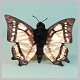 Stuffed Swallowtail Butterfly