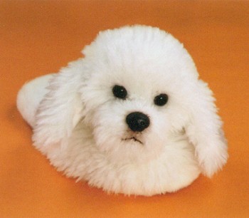 bichon frise slippers