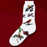 Critter Socks