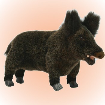 hansa wild boar