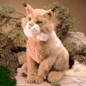 Folkmanis Stuffed Bobcat