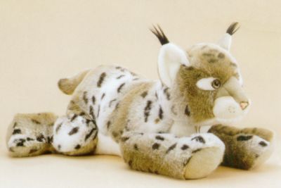 Stuffed Bobcat