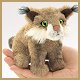 Stuffed Bobcat