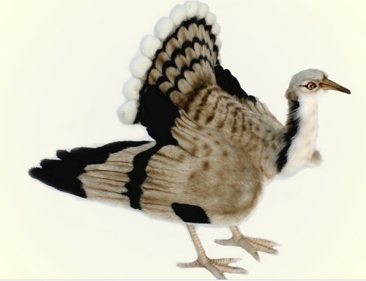 Hansa Stuffed Plush Houbara Bustard Bird