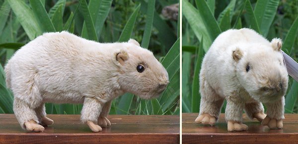 Leosco SOS Stuffed Plush Capybara