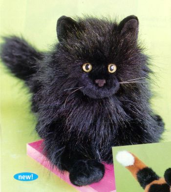 Angus Black Cat