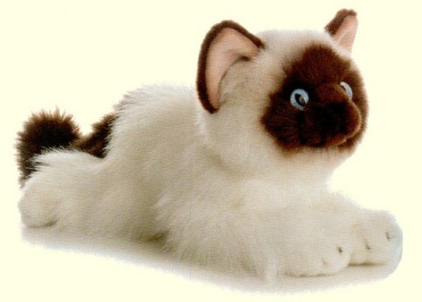 Aurora Lifelike Stuffed Plush Birman Kitten