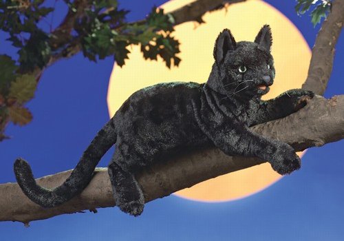 Folkmanis Black Cat Stuffed Animal