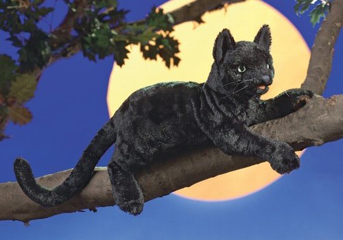 plush black cat with green eyes