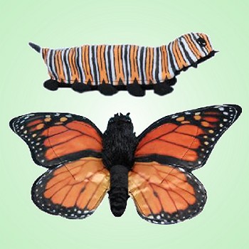 Sunny Plush Caterpillar / Butterfly