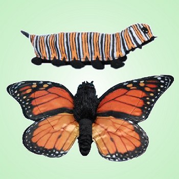 Sunny Plush Caterpillar Butterfly Stuffed Animal