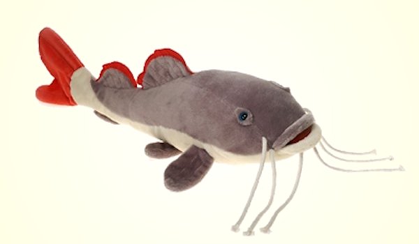 Fiesta Red Tail Catfish
