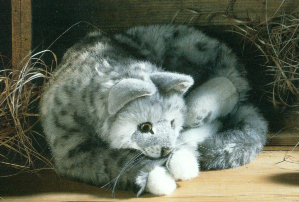 fluffy gray cat stuffed animal