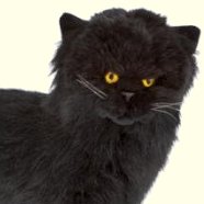 Bocchetta Sheffield Standing Persian Cat