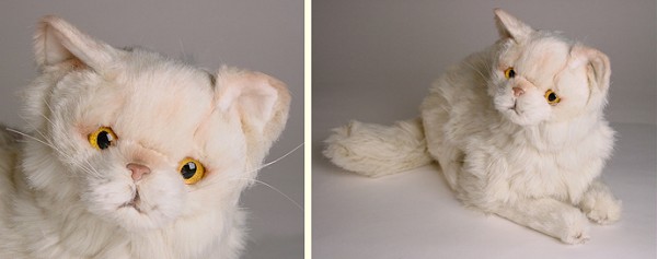 Piutre Stuffed Plush Chinchilla Persian Cat