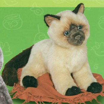 stuffed himalayan cat