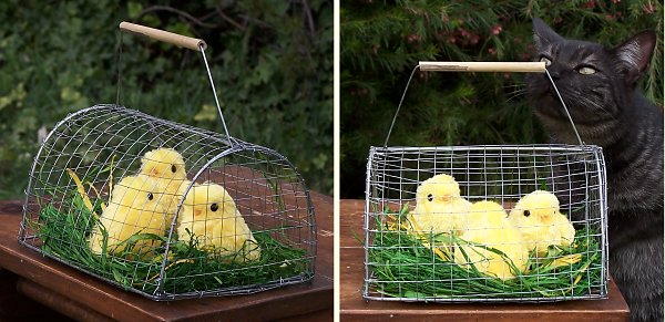 Metal Wire Cage with Three Plush Chicks