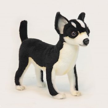 stuffed black chihuahua