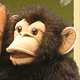 Stuffed Animal Monkeys