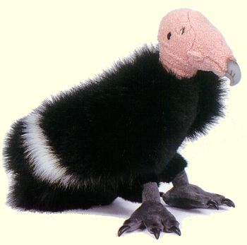 Plush Stuffed California Condor