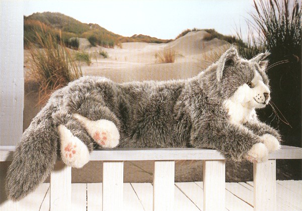 Plush Gray Maine Coon Cat