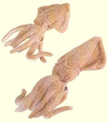 Fiesta Stuffed Cuttlefish