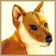 dingo stuffed animal