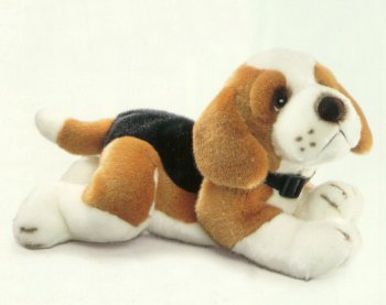 stuffed beagle puppy
