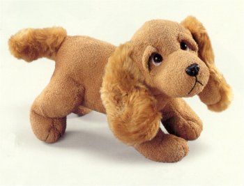 Scooter Cocker Spaniel