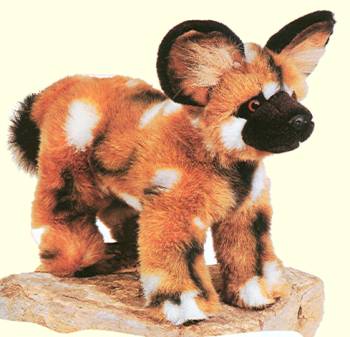 Stuffed African Wild Dog