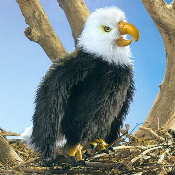 Folkmanis Eagle Stuffed Animal Hand Puppet
