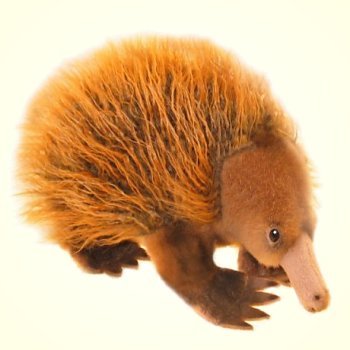 Bocchetta Plush Echidna