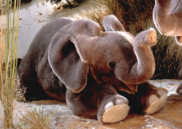 Kosen Stuffed Plush Baby Elephant