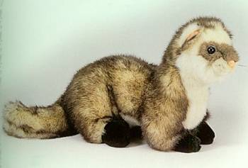 Stuffed Plush Ferret