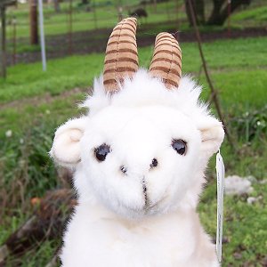 stuffed billy goat