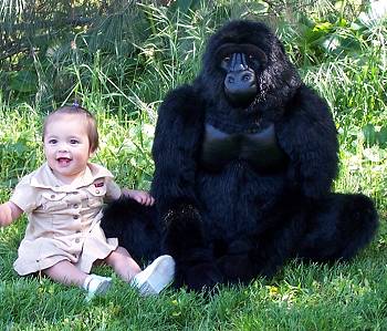 giant gorilla stuffed animal