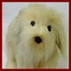 Stuffed Plush Grand Griffon Vendeen Dog