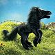Folkmanis Stuffed Plush Black Horse