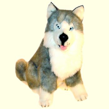 Bocchetta Brock Plush Husky Stuffed Animal