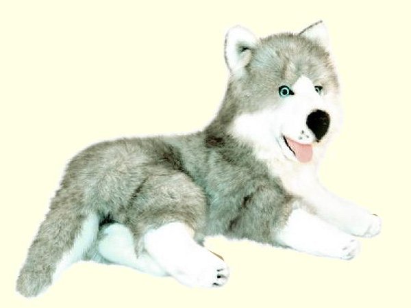 Bocchetta Madison Plush Husky Stuffed Animal