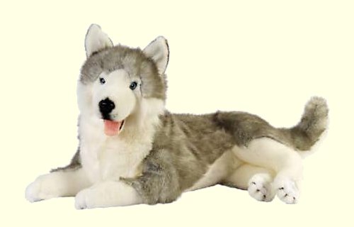 Bocchetta Rocco Plush Husky Stuffed Animal